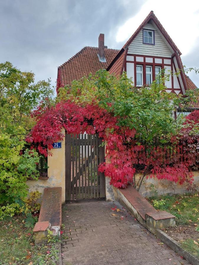 Stilvolles Ferienhaus Artdeco Вернигерод Екстериор снимка