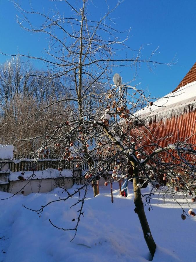 Stilvolles Ferienhaus Artdeco Вернигерод Екстериор снимка